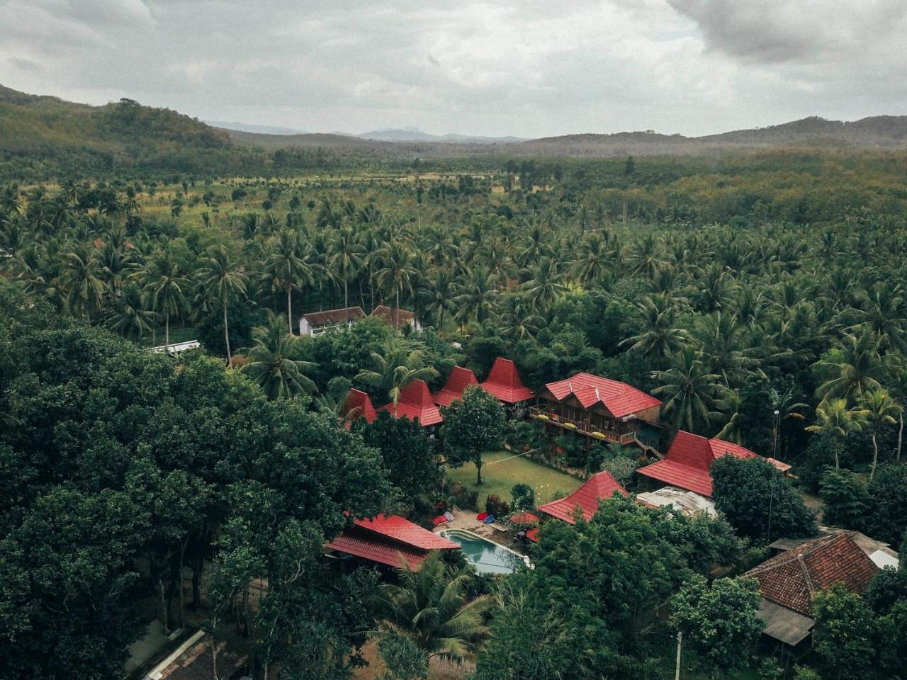 Mojosurf Camp Red Island Hotel Pasanggaran Екстериор снимка